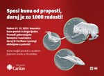 Hrvatski Caritas - Spasi kunu od propasti, daruj je za 1000 radosti!